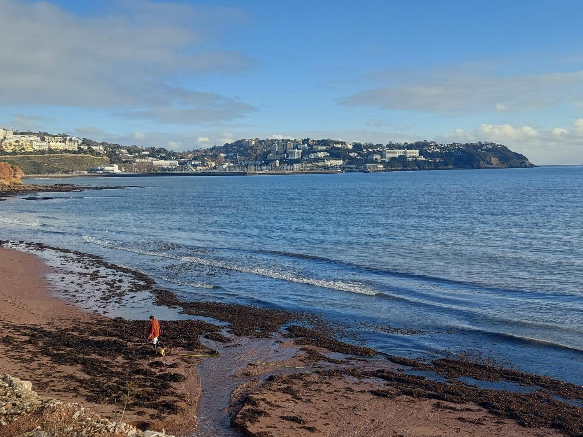 The Seaview Suites At The Corbyn Apartments Torquay Chambre photo